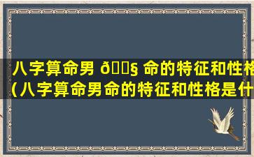 八字算命男 🐧 命的特征和性格（八字算命男命的特征和性格是什么）